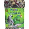 Parrot Food