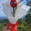 Tulipan Spiderman