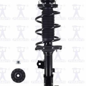 Strut and Coil Spring Assembly