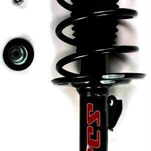 Strut and Coil Spring Assembly