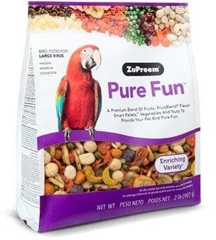 Pure Fun