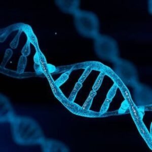 Avian DNA Gender Testing.